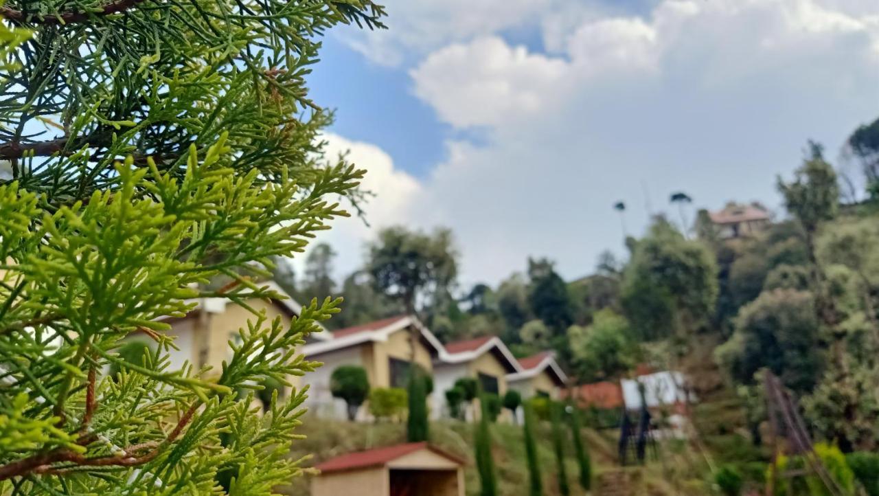 Skywood Resort Shoghi Shogi Exteriör bild
